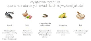 Josera Festival 900g