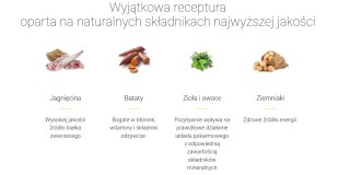 Josera Mini Deluxe 900g