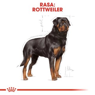 ROYAL CANIN Rottweiler Adult 12kg