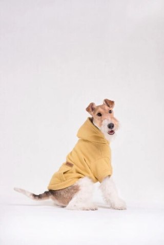 AMIPLAY Bluza Z Kapturem Texas Czarna 50cm