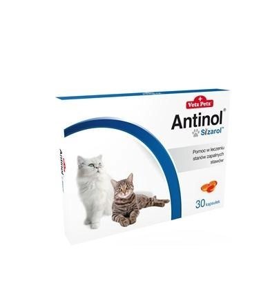 BIOVICO ANTINOL SIZAROL KOT 30 tabletek NA STAWY