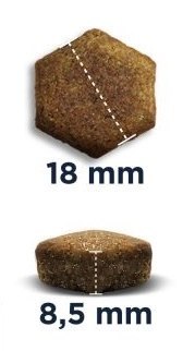 Eukanuba Adult Labrador Retriever 12kg