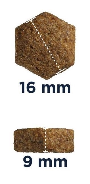 Eukanuba Junior Large 15kg