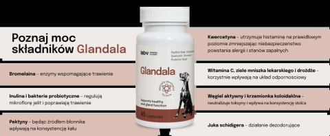 Lab-v Glandala Wsparcie Gruczołów Okołoodbytowych i Przewodu Pokarmowego 45 Kapsułek