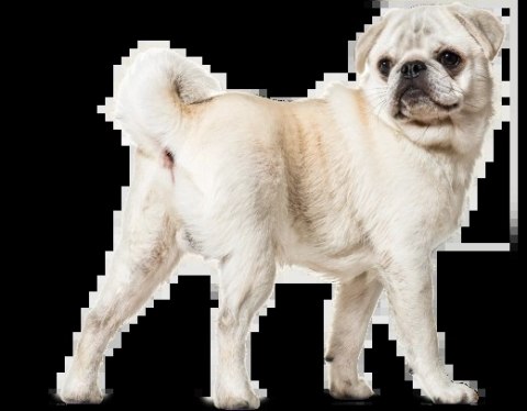 Lab-v Glandala Wsparcie Gruczołów Okołoodbytowych i Przewodu Pokarmowego 45 Kapsułek