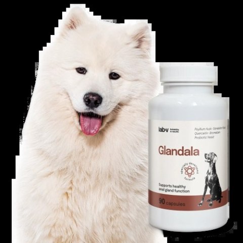 Lab-v Glandala Wsparcie Gruczołów Okołoodbytowych i Przewodu Pokarmowego 90 Kapsułek