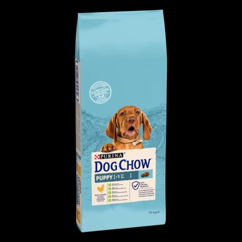 Purina Dog Chow Puppy Z Kurczakiem 14kg