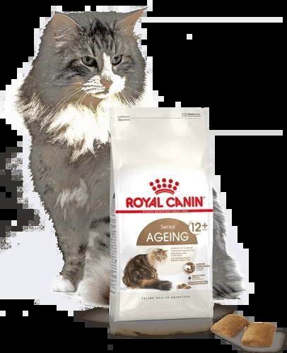 ROYAL CANIN Ageing +12 2kg