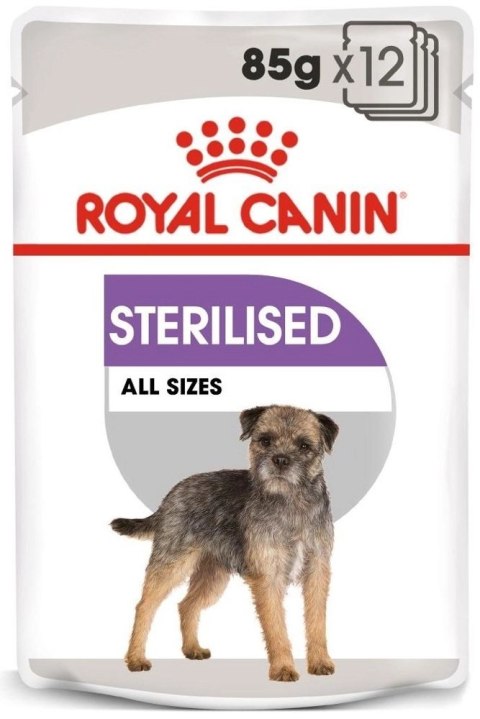 ROYAL CANIN CCN Sterilised Mini Pasztet 12x85g