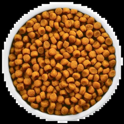 Hill's PD Prescription Diet Feline y/d 1,5kg