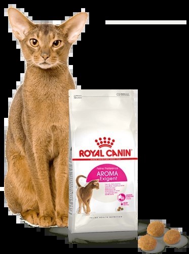ROYAL CANIN Aroma Exigent 400g