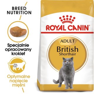 ROYAL CANIN British Shorthair Adult 10kg