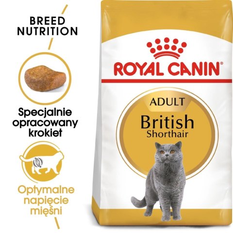 ROYAL CANIN British Shorthair Adult 10kg