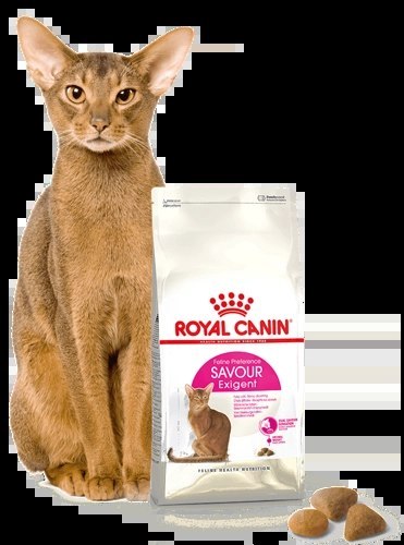 ROYAL CANIN Savour Exigent 2kg