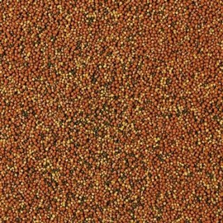 Tropical SuperVit Granulat 100ml