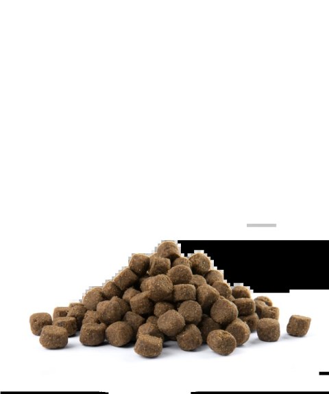 Versele-Laga Opti Life Adult Skin Care Medium&Maxi Z Łososiem 12,5kg