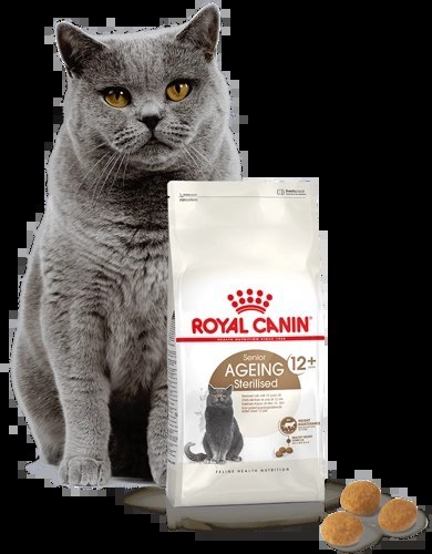 ROYAL CANIN Ageing Sterilised +12 2kg