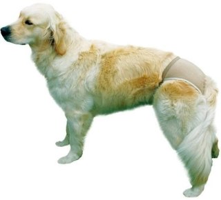 Trixie Majtki Ochronne Dla Suczki Rozmiar XL