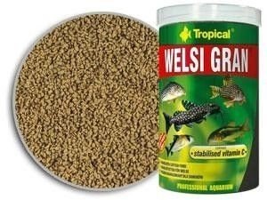 Tropical Welsi Gran 100ml