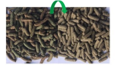 Versele-Laga Cuni Nature Original 750g