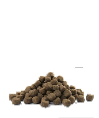 Versele-Laga Opti Life Prime Adult Salmon Karma Bezzbożowa Dla Dorosłych Psów Z Łososiem 12,5kg