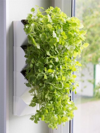 AQUAEL Versa Garden Herbs