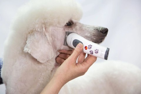 Aesculap Maszynka Do Strzyżenia Akkurata Akumulatorowa Biała