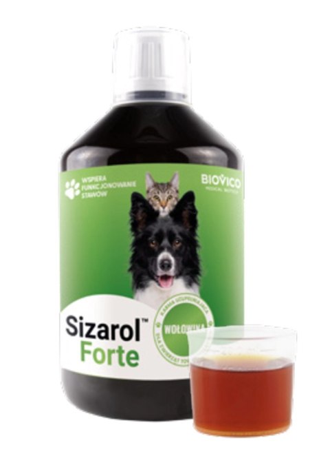 BIOVICO Sizarol Complex Forte 500 ml