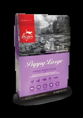 Orijen Dog Puppy Large 6kg