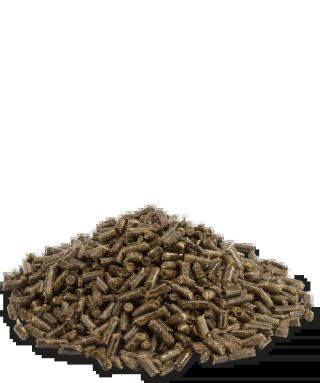 Versele-Laga Crispy Pellets Chinchilla & Degu 1kg